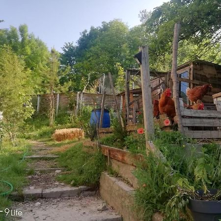 La Cabane Des Trappeurs Crépy-en-Valois Zewnętrze zdjęcie