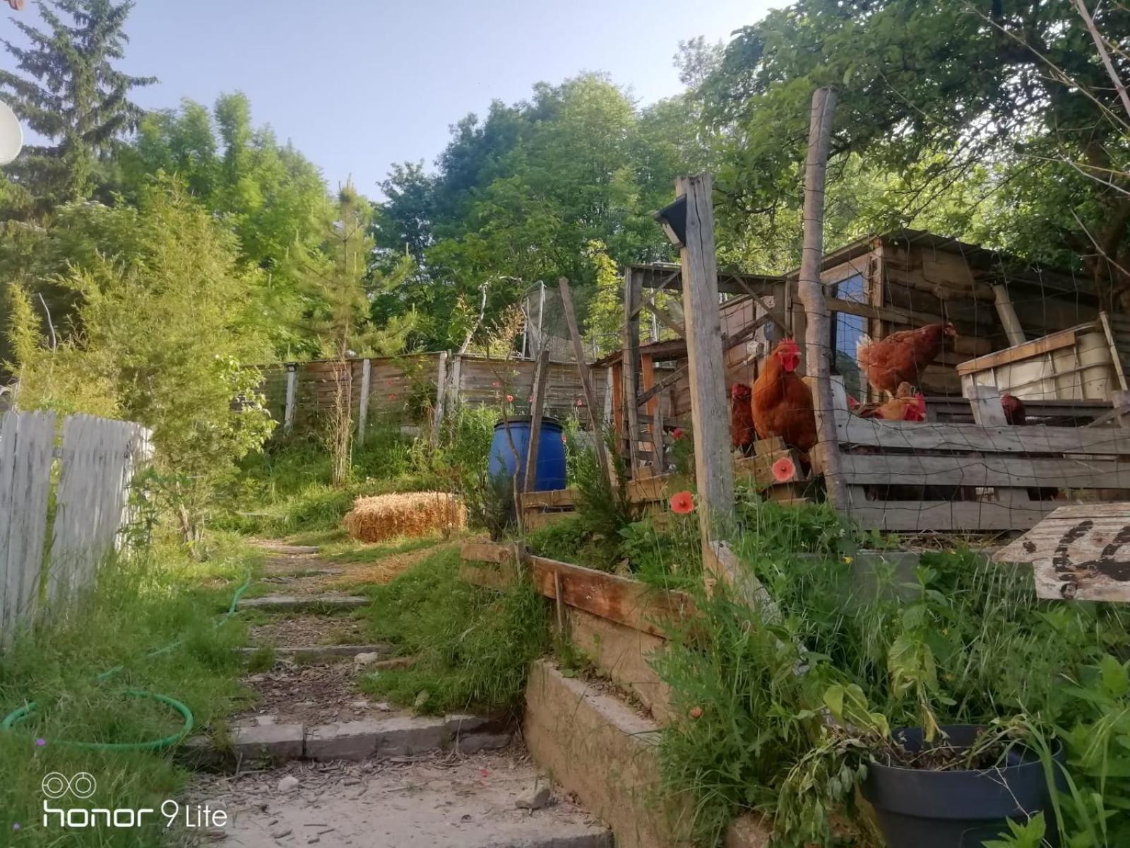 La Cabane Des Trappeurs Crépy-en-Valois Zewnętrze zdjęcie